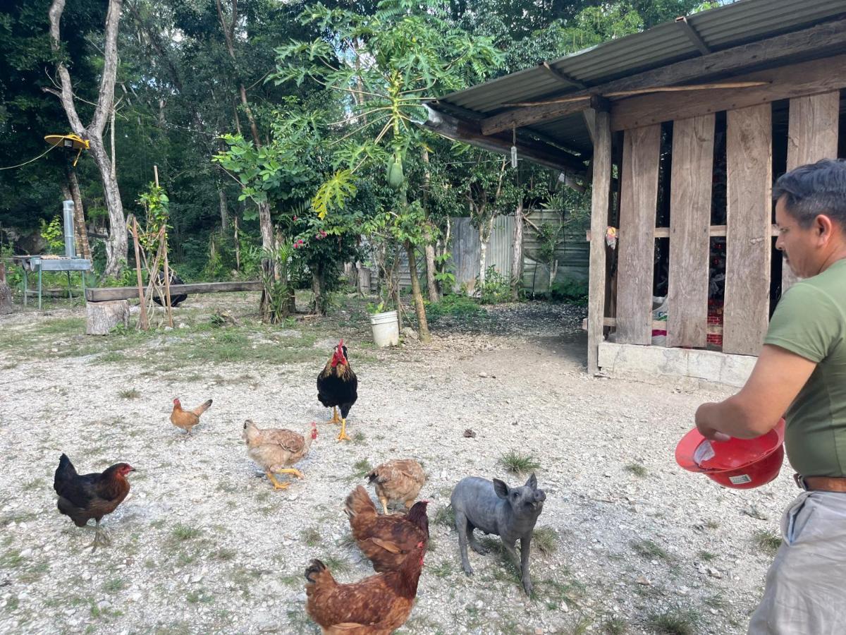 Casados Ranch *